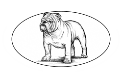 Employment and Consumer Law Group